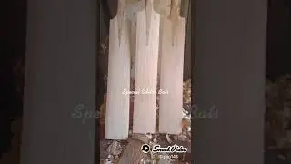 Plain English Willow Cricket Bats