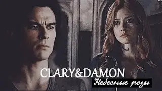 CLARY&DAMON||CROSSOVER-Небесные розы