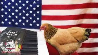 Star Spangled Banner by Jokgu of the Flockstars
