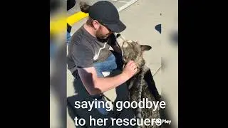 Sahara's Rescue