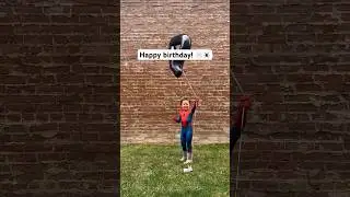 Неожиданная развязка 😂