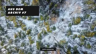 Wintertannen aus der Luft |&nbsp;Aus dem Archiv #7