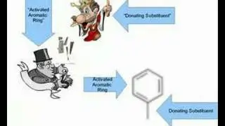 Substituent Effects