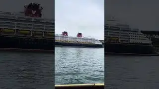 Disney Wonder Cruiser at Sydney Harbour#sydneyharbour #circularquay #sydney #trending #shorts