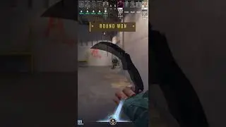 2 эйса (почти) подряд #cs2 #csgo #wtfcsgo #gaming #приколыcsgo #кс2 #csgoclips #counterstrike