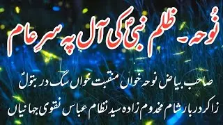 Nohe_2025_Zulm Nabi Ki All Pe Sar e Aam Na Hota_Syed Nizam Abbas Naqvi