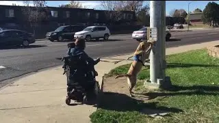 Service dogs making a difference