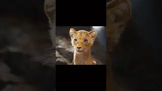 Mufasa Lion King epic 4K edit powerful scenes cinematic vibes emotions and legacy in ultra HD