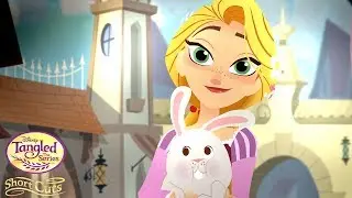Hare Peace | Short Cuts | Tangled: The Series | Disney Channel