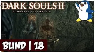 Dark Souls 2: Scholar of the First Sin - Shaded Woods - Shaded Ruins (Blind / PC)
