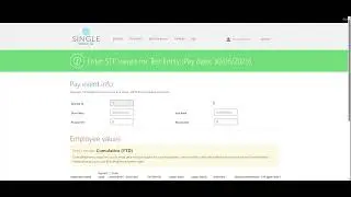 End of Financial year Guide Single Touch Lite 2024 25