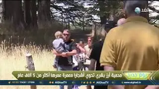 يوم جديد | 