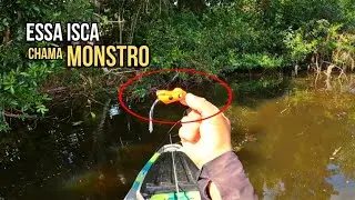 🚨 ESSA ISCA chama TRAÍRA DEMAIS! É IMPRESSIONANTE o que ela faz 🔥
