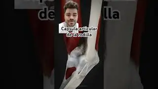 CAPSULA ARTICULAR DE LA RODILLA #anatomia #fisioterapia #shorts