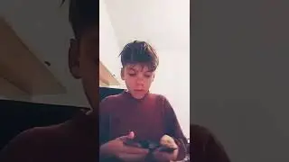#zenitregale #pokemon