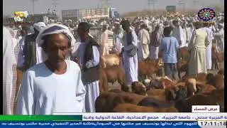 عرض المساء    16-1-2026