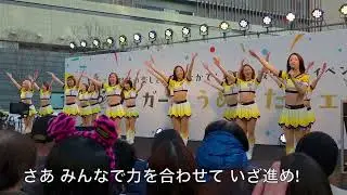 【歌詞付きライブ動画】 タイガースガールズ ♪曲→岡崎体育 『V!V!Victory』 2025年の新曲応援歌 タイガースうめきたフェス 2025/3/20 16時30分頃 うめきた広場