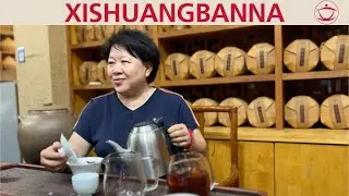 Xishuangbanna: Tea Shops in Jinghong