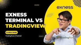 Exness Terminal vs TradingView: N&ecirc;n D&ugrave;ng Nền Tảng N&agrave;o Để Ph&acirc;n T&iacute;ch?