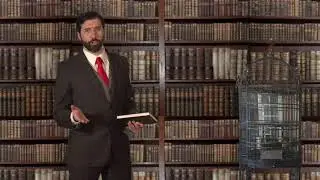 Official Bird.Law Commerical