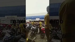 maxim kena demo maxim