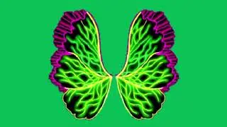 Flora's Three-Neon-Colored Dreamix Fairy Wings Of Glow-In-The-Dark On Green Screen Effects #1