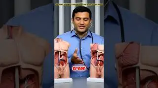 Cialis vs Viagra: Which Is Better for Erectile Dysfunction? Onset, Duration, Side Effects Explained