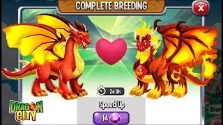 New Flame Dragon vs Pure Flame Dragon | Dragon City [EXCLUSIVE BREEDING]