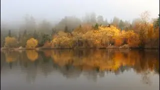 Fog Impressions | Nature | Seasons | Photography | Water | Shore | Travel