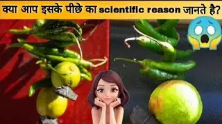 Scientific reason behind this indian tradition😱 |science behind indian rituals #factshorts #shorts