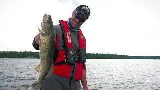 Web Extra! July Walleyes on Lake of the Woods at Ballards Resort