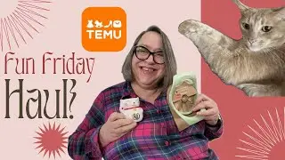 Fun Friday Haul! Temu, World Market, Torrid, Ross, and Buttercup!
