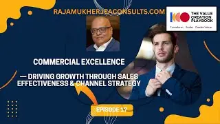 Episode 17 - Commercial Excellence &mdash; Driving Growth Through Sales Effectiveness & Channel Strategy