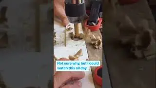ASMR for DIY people 🤣 The soft sound & those perfectly shaved wood chips #asmr #diy #renovation