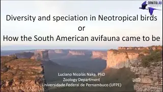 Seminar 26: Diversity and speciation in Neotropical birds or how South American avifauna came to be