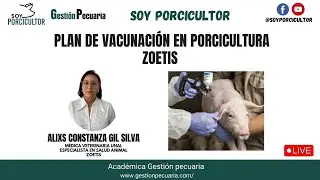 ✅ Plan de Vacunación en Porcicultura Zoetis