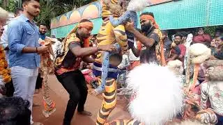 tiger dance korkode V H friends(1)