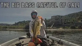 Smashing Big Bass On Frogs | Clear lake Bass Fishing