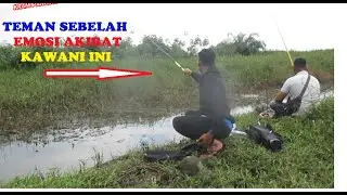 Speed ​​competition for fishing for Siamese gourami in the river predator swamp