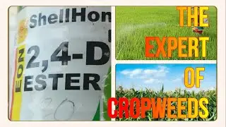 Farming With Sam On A Review For 2, 4-D Herbicide Good For Three Crops Only,  03 /07 /2022