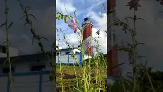 Betul light house