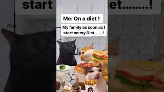 Diet #tiktoktrend #ondiet#food #foodchannel #tiktok