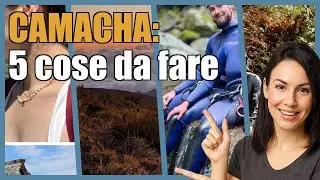 Camacha: 5 attività che rendono speciale il viaggio