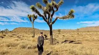 Joshua Tree National Park 2021 Vlog - Best Free Camping Tip!