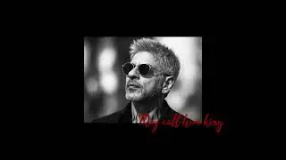 THEY CALL HIM KING | King | Shahrukh khan | Anirudh music | heisenberg lyrics | Lofi song #srk