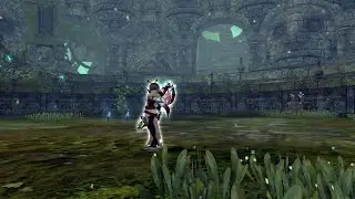 Limitin Nest - Dragon Nest SEA