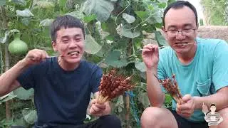 【 羊肉串】家庭自製羊肉串，這樣擼串才過癮！！|野食 農村美食 wild cooking 三農 美食 |IT小食哥