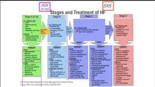 2017: A Case-Based Update on Heart Failure: Focus on the 2017 Guidelines