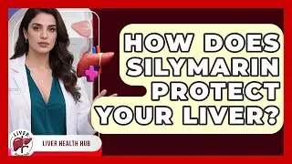 How Does Silymarin Protect Your Liver? - Liver Health Hub