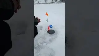 30 января 2026 г.